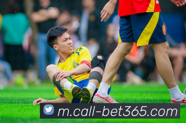 多媒体互动体验